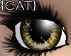 {CAT}Fragile-Gold Eyes