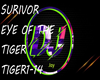 EYE OF THE TIGER