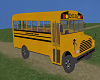 Y* School Bus