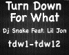 TurnDownForWhat-DjSnake