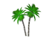Palm Tree-2