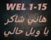 Hany Shaker-Ya Wel 7aly