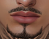 Dcria Beard Mh