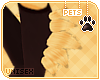 [Pets] Theo | leg tufts