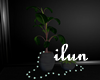 Plants Lights