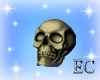 EC| Human Skull