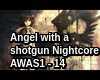 angel with shotgun-night