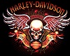 (AF)HARLEY-DAV. CLUB