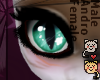 Papitas Mint Eyes