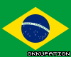 Brazil Flag Rug Wall