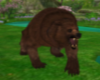 Angry Bear