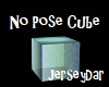 No Pose Cube