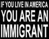 American Immigrant
