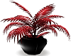 {cmm} red plant