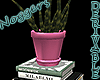 Books & Cactus Pink