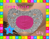 !Lily- SGPaci Pink