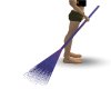 purple broom