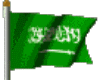  	 Saudi Arabia flag
