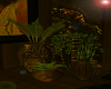 {Urban Oasis Plants}V2