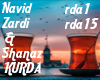 Navid Zardi - Shanaz