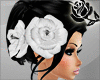 @}- Eternal Rose: White