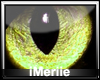 IM* Feline Yellow Eyes F