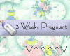 13 Weeks Pregnant (b)