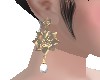 Q - Earrings Rose Gold