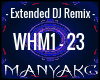 MN| WHM DJ REMIX