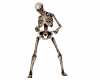 Halloween Party Skeleton
