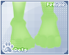 [Pets] Kira | feet 