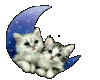 Half moon kittens