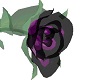 Black Velvet Glass Rose