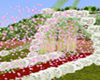 Animated Rose Petals