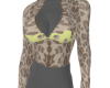 Cheetah Body P1