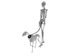 Skeleton W/Pet