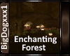 [BD] Enchanting Forest