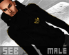 |S  Hoody B&Gold