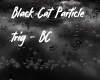 Black Cat Particle