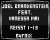 Joel  Brandenstein