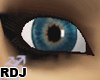 [RDJ] Eye F22