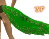 SF-Ivy Tail