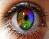 Rainbow   eyes M/F