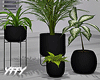 Modern Plant Stands Set