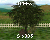 [Gi]TREES