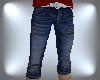 Blue Jean Long Shorts