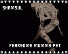 Fearsome Mummy Pet