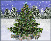 Christmas Tree SnowPine