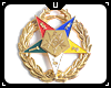 OES Officer Collar Jewls
