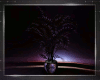 ! ENCHANTED PLANT animat